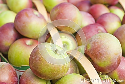 Baskets of Macintosh Apples Stock Photo