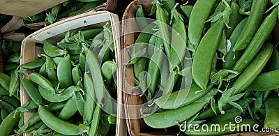 Baskets of Sweet pea pods Stock Photo