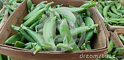 Baskets of Sweet pea pods Stock Photo