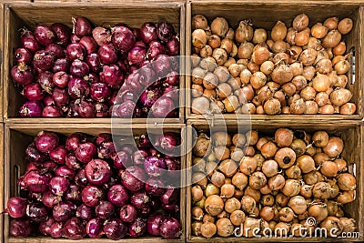 Baskets with sweet red and yellow onions in the mall Stock Photo