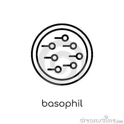 Basophil icon. Trendy modern flat linear vector Basophil icon on Vector Illustration