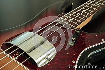 Bass Body Stock Photo