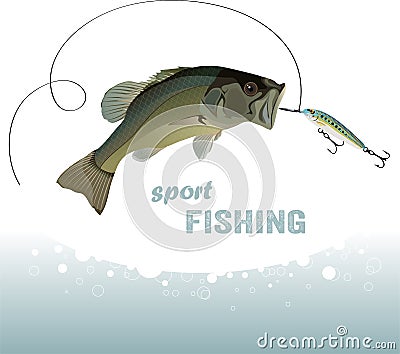 Bass fishing Vector Illustration