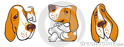 Basset Vector Illustration