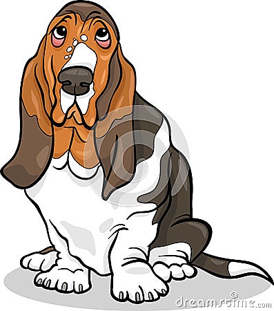 Basset hound dog cartoon illustration Vector Illustration