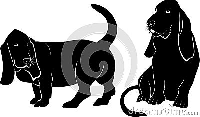 Basset hound dog vector silhouette Vector Illustration