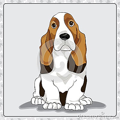 Basset-Hound illustration cartoon dog illustration Vector Illustration