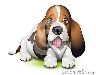 Basset Hound puppy Vector Illustration