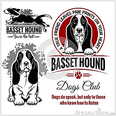 Basset Hound - vector set for t-shirt, logo and template badges Vector Illustration