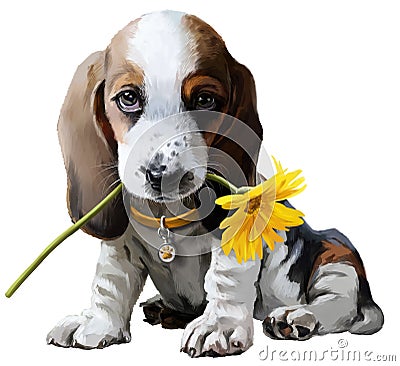 Basset hound watercolor painting Stock Photo