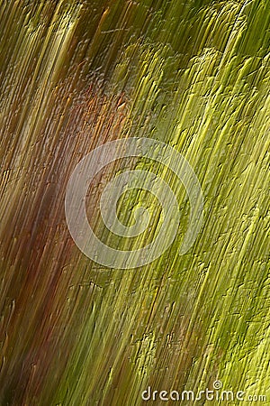 Bast fibres Stock Photo