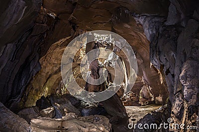 Bat cave, a limestone cave near Bukit Lawang in Gunung Leuser National Park, Sumatra, Indonesia. Stock Photo