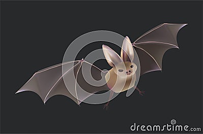 Bat Halloween isolated vector set Stock Photo