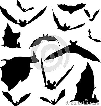 Bat Silhouettes Vector Illustration