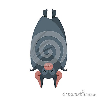 Bat sleep isolated. Night animals vampire. Vector illustration Vector Illustration