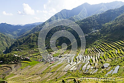 Batad Stock Photo