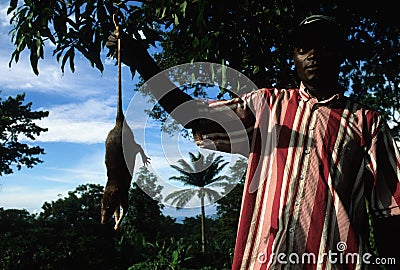 Batete - Equatorial Guinea Editorial Stock Photo