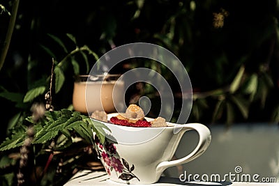 Bath in the garden. Bath with chamomile flowers. Raspberries with milk. The girl in the bathroom Stock Photo