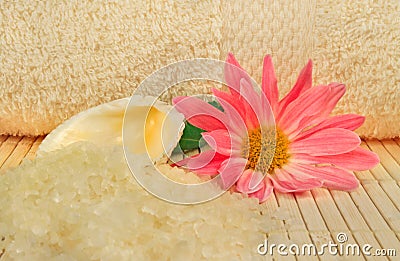 Bath salt, shell and a flower Stock Photo