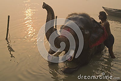 Bath Time Editorial Stock Photo