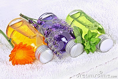 Bathing oil, calendula, lavender, melissa Stock Photo