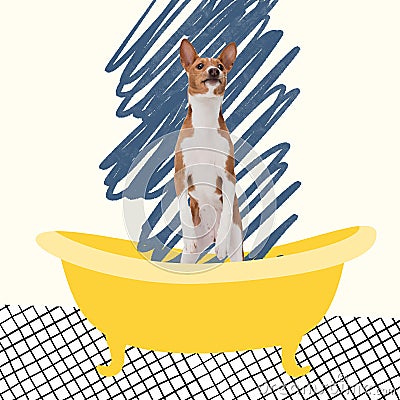 Contemporary art collage of cute, dog standing in bath isolated over white background Stock Photo