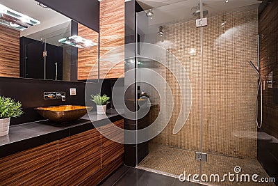 Bathroom with fancy shower Stock Photo