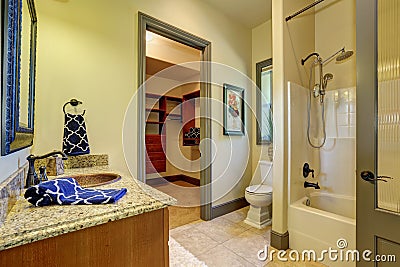 Bathroom interior in olive tones with walk-in closet. Stock Photo