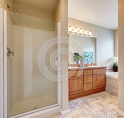 Bathroom interior with a shower and bath tub. Stock Photo