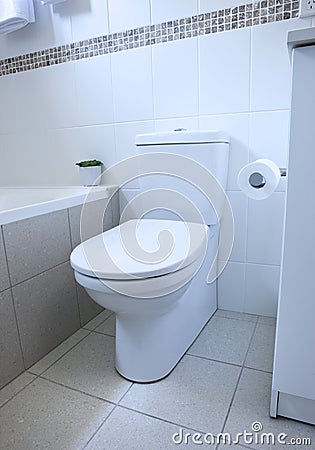 Bathroom Toilet Stock Photo