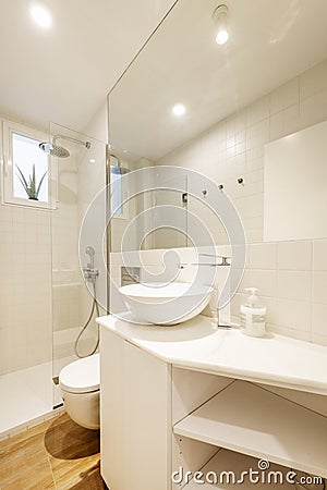 Bathroom with white wood cabinets, white porcelain hemispherical sink, large built-in mirror, and glass-enclosed shower stall Stock Photo