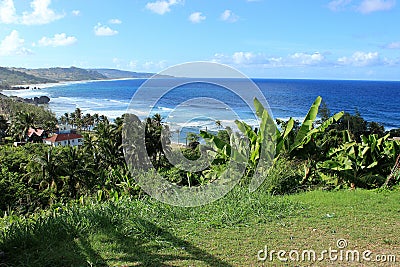 Bathsheba coastline in Barbados Stock Photo