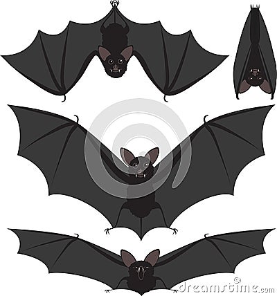 Bats Vector Illustration