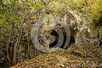 Bats Cave Stock Photo