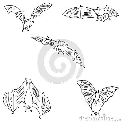 Bats in different positions. Pencil sketch by hand Vector Illustration