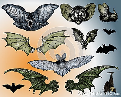 Bats and Flying Dog. Vector Illustration