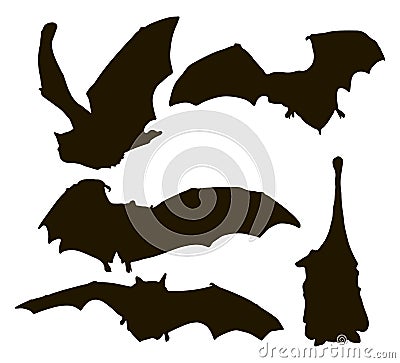 Bats, silhouettes. Graphics, contours. Vector. Vector Illustration