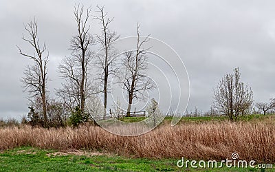 Battlefield Spring Stock Photo