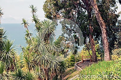 Batumi garden landscape in Georgia Stock Photo