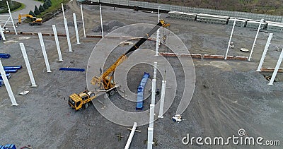 Schmetterling, Motten Und Schmetterlinge, Insekt, B?rsten-f??iger