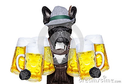 Bavarian beer dog Stock Photo