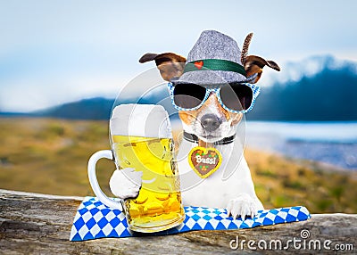 Bavarian beer dog Stock Photo