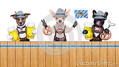 Bavarian beer dogs row Stock Photo