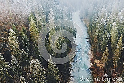 Bavarian wilderness covered in fog Stock Photo