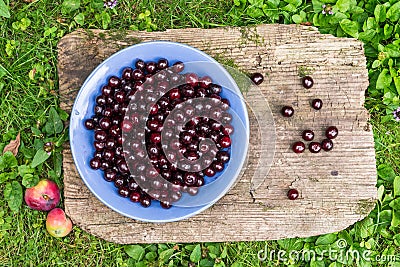 A bawl of fresh garden cherries Stock Photo