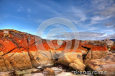 Bay of Fires, Tasmania Stock Photo