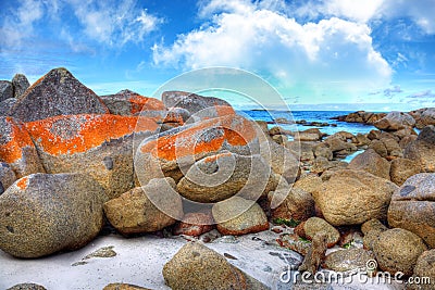 Bay of Fires, Tasmania Stock Photo