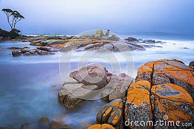 Bay of Fires,Tasmania, Australia Stock Photo