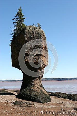 Bay of Fundy Stock Photo