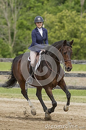 Bay horse and female rider at a canter Stock Photo